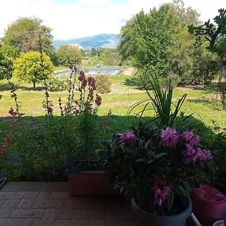 Casa Pratolungo Guest House Velletri Luaran gambar