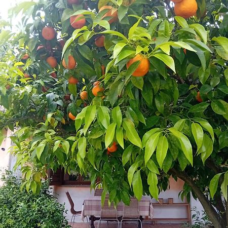 Casa Pratolungo Guest House Velletri Luaran gambar