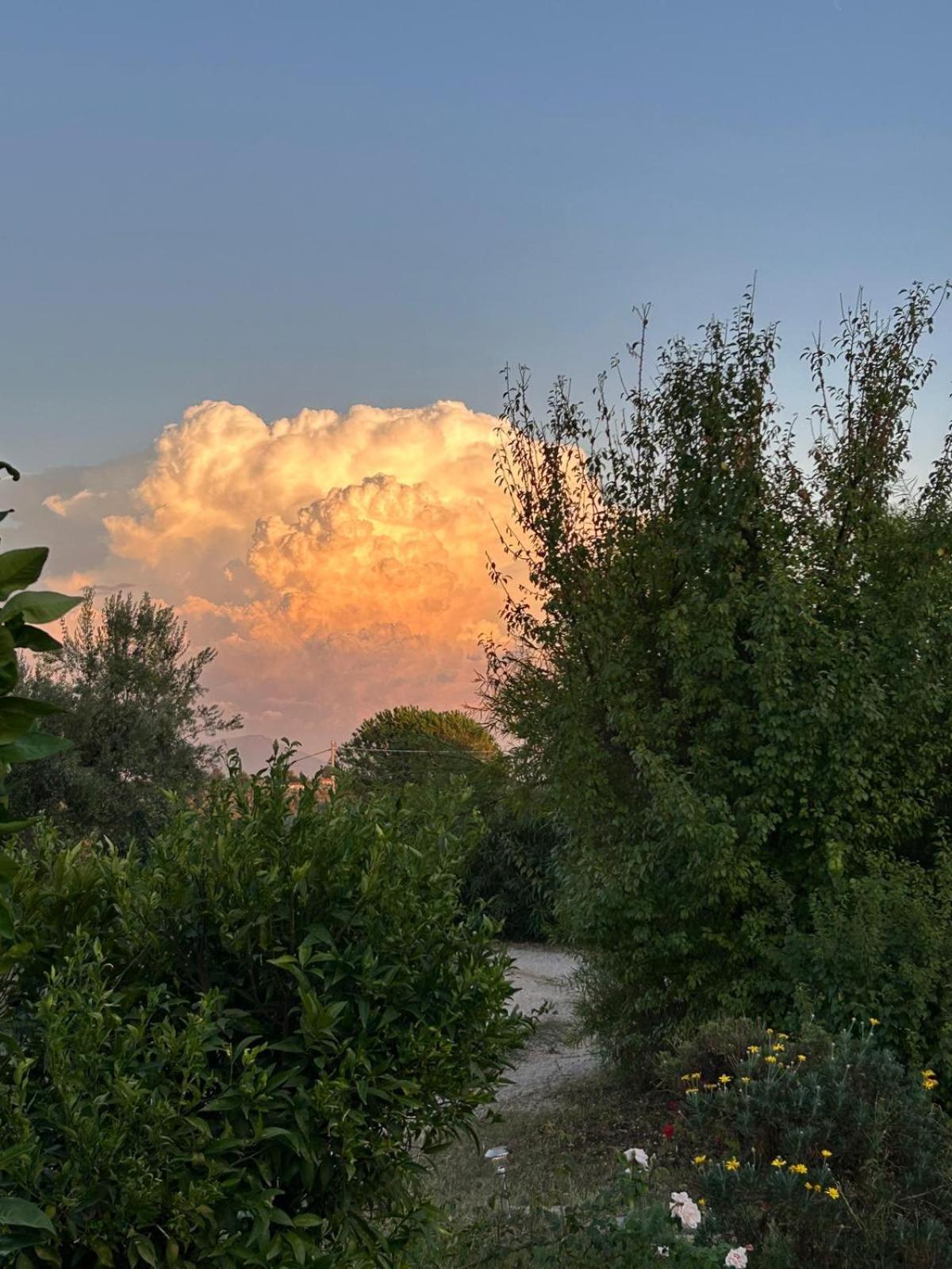 Casa Pratolungo Guest House Velletri Luaran gambar
