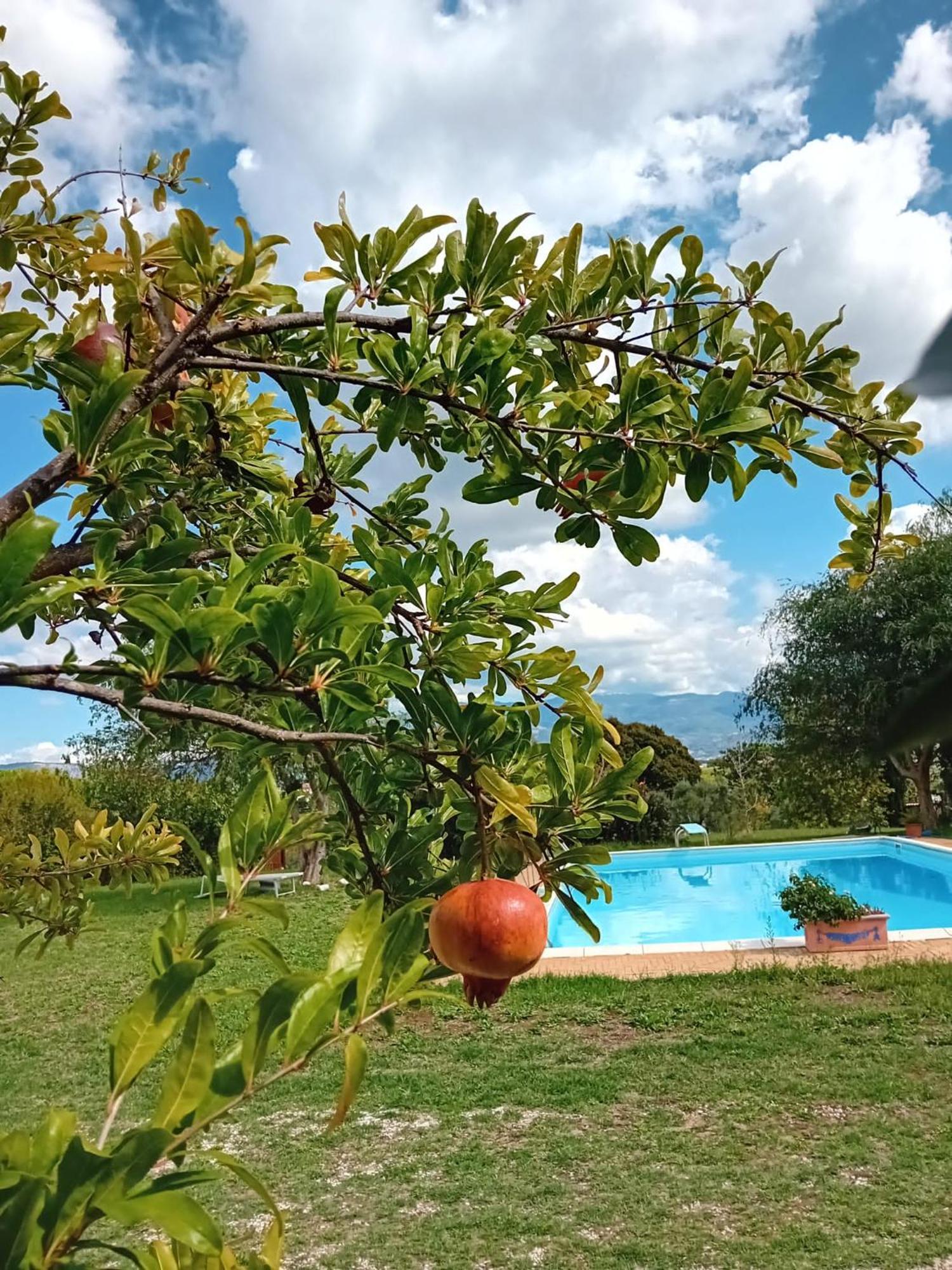 Casa Pratolungo Guest House Velletri Luaran gambar